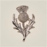 Brooch - Small Thistle
